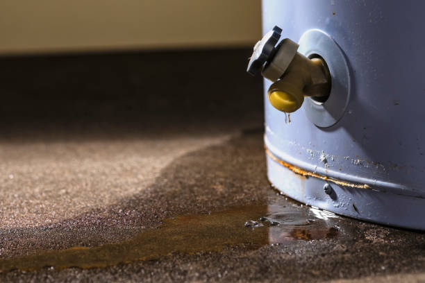 Best Water damage restoration near me  in Ten Mile Creek, MD