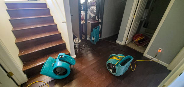 Best Local water damage restoration  in Ten Mile Creek, MD